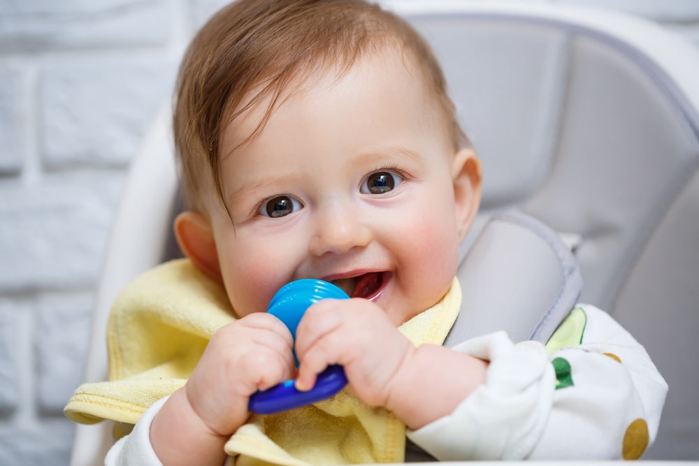 Unlock the Benefits of a Mesh or Silicone Baby Feeder: Chew, Teethe &  Self-Feed Safely