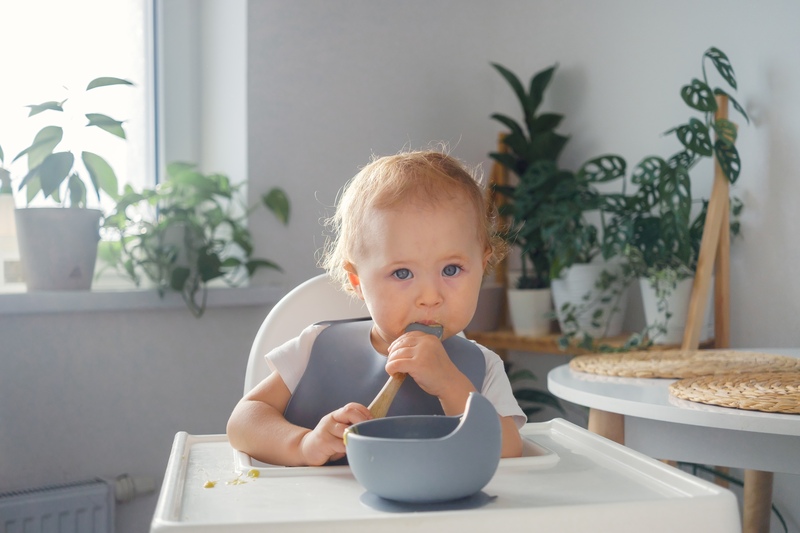 Best Suction Baby Bowls for Toddlers-Toddler Bowls Baby Feeding